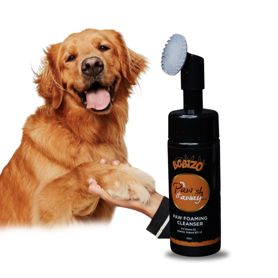 PAW FOAMING CLEANSER